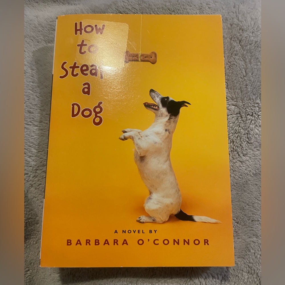 How To Steal A Dog A Novel By Barbara O’Connor